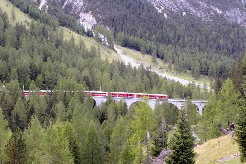 TRENINO DEL BERNINA A CONFINE TRA ITALIA E SVIZZERA